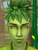 Linden Greenman